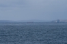 IMG_6779.jpg